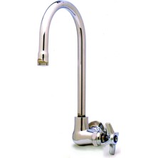 Die Grup T&s Brass B-0310 Tek Kiler Bataryası, Duvara Monte, Sert Kaz Boyu, Dört Kollu Kol, 1/2-Inç Npt Dişi Giriş
