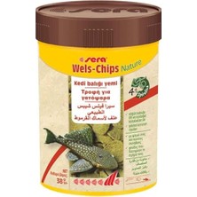 Esranın Dünyası Wels-Chips 38 gr 100 ml