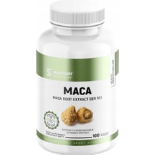 Insport Maca