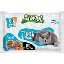 Die Grup Çift Lezzet Pouch Yetişkin Kedi Ton - Somonlu 4 x 100 G