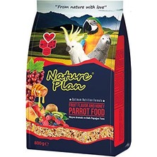 Nature Plan Papağan Yemi 800 gr
