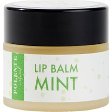Die Grup Polente Natural - Naneli Lip Balm - Nemlendirici Dudak Kremi (10 Ml)