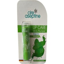 Hakay Cire Aseptine Lip Care Minty Plumper Dudak Nemlendirici 4,5 G