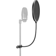 Hakay Neumann Ps 20 A Pop Filtresi