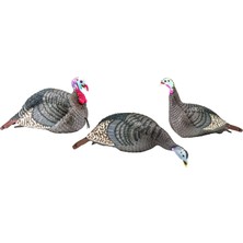 Hakay Hunters Specialties -"hunters Uzmanlık 100006 Strut-Lite Flock Tuzak, 3-Pack")