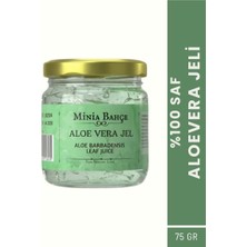 Hakay Minia Bahçe Bitki Sanat Atölyesi Aloe Vera Jel (Aloe Vera) 75ML,%100 Saf