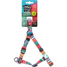 Hakay M-Pets Urban Style Jazz Strıpes Göğüs Tasması (S)