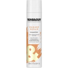 Hakay Toni & Guy Yıpranmış Saçlar Için Şampuan 250 ml 1 Paket (1 x 250 Ml)