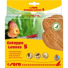 Hakay Sera Catappa Leaves S 10-15 cm (10 Adet) - Doğal Su Arıtımı Için Deniz Badem Ağacı Yaprakları