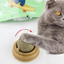 Hakay Yıldızhane Doğal Catnipli Yenilebilir Kedi Nanesi Otu Oyun Topu Oyuncağı Cat Mint Top Oyuncak ESC-320