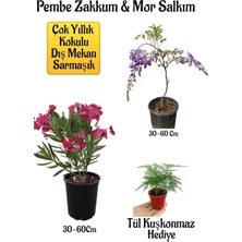 Hakay Serada Decor & Plant Pembe Zakkum Fidanı, Mor Salkım Ağacı Fidanı, Tül Kuşkonmaz Hediyeli Bahçe Peyzaj Seti