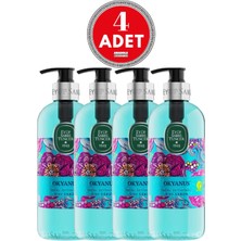 Hakay Eyüp Sabri Tuncer Doğal Zeytinyağlı Sıvı Sabun Okyanus 500 ml x 4 Adet