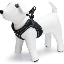Hakay Beeztees Köpek Göğüs Tasması, Neopren, Siyah, M, 41-46CM