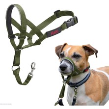 Hakay Company Of Animals Haltı Başlık - Köpeğinizin Tasmayı Çekmesini Durdurmak Için. Ayarlanabilir, Yansıtıcı ve Hafif, Dolgulu Burun Bandı. Küçük Köpekler Için Köpek Eğitimi Çekme Önleyici Yaka (Beden 1,