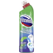 Aesco Kireç Çözücü Etkili Renk Değiştiren Tuvalet Temizleyici 750 ml