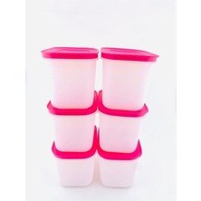Hakay Tupperware Alaska 6 Lı 1.1 Lt Derin Saklama Kabı