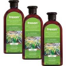 Hakay Zencefil Organik 3 Kutu Tresan 6 Bitkili Kepek Şampuanı 300 ml Anti-Dandruff Shampoo