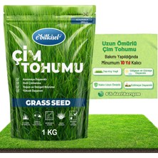 Hakay Ebitkisel Çok Yıllık Çim Tohumu 1 kg Uzun Ömürlü 6'lı Karışım Gölge ve Aşırı Güneşli Alan Uygun Yetiştirilmesi Kolay 4 Mevsim Yeşil