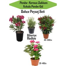 Hakay Bitkim Sende Bahçe Peyzaj Seti, Pembe Zakkum, Kırmızı Zakkum, Pembe Gül Fidanı, Biberiye Hediyeli
