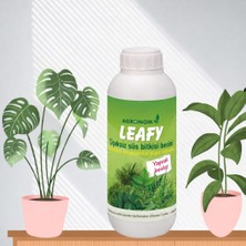 Hakay Çiçeksiz Bitkiler(Starliçe, Areka Palmiyesi, Bonzai Vb.) Için Sıvı BESIN,GÜBRE(100 Ml)