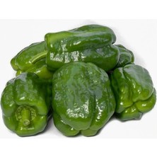Hakay Dolmalık Biber Antep Acı (Çoklu Tohum) - 5 Gram
