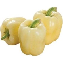 Hakay Dolmalık Biber Beyaz (Çoklu Tohum) - 3 Gram