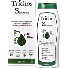 Hakay Shampoo 250 ml Bakım Şampuanı (Saç Dökülmesi, Saçkıran ve Güneşten Koruma Için)