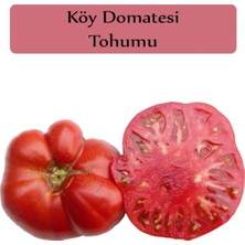 Hakay Zencefil Organik Köy Domatesi Tohumu 1 Paket (3GR=850+ Adet) Domates Tohumu