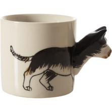 Aesco Dog Fincan 100 ml