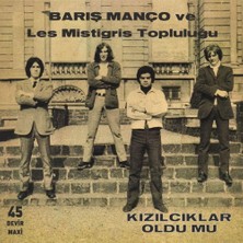 Hakay Barış Manço Les Mistigris Kızılcıklar Oldu Mu 45LIK Plak