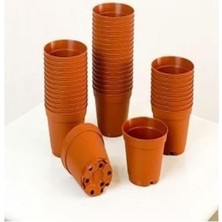 Hakay Katı Plastik Sukulent Saksısı 20 Adet Kahverengi (5.5 Cm), MKR1203202443