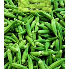 Hakay Zencefil Organik Bamya Tohumu 1 Paket (10 GR.=100+ Adet) Sultani Bamya
