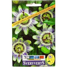 Hakay Passiflora Çarkıfelek Çiçeği Tohumu