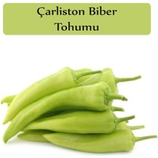 Hakay Zencefil Organik Çarliston Biber Tohumu 1 Paket (10GR=1000+ Adet) Yalova Çarliston Biberi Tohumu