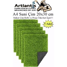 Hakay Yapay Çim A4 20X30 cm 5 Adet A4 Boyutunda Maket Çim Dekorati Yapay Çim Halı Teraryum Suni Çim