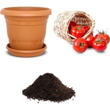 Hakay Gardenbox Meşhur Falkon Domates Tohumu, 10 Adet Ekim Seti, Toprak ve Saksı Dahil