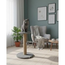 Frefly Store Gri Renkli Kedi Tırmalama Tahtası