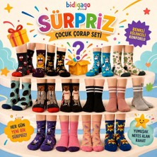 Bidigago 6\'lı Sürpriz Karma Çocuk Çorap Seti