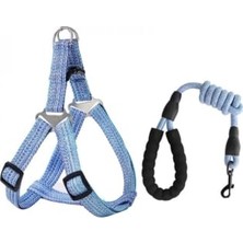 Frefly Store Köpek Tasması (Xl) 1.2cm - Çok Büyük Boy Köpek Tasması, Göğüs Kemerli, Tutma Saplı Ayarlanabilir Mavi