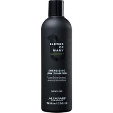 Frefly Store Alfaparf Blends Of Many Enerji Veren Şampuan 250ML