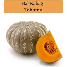 Frefly Store Zencefil Organik Bal Kabağı Tohumu 1 Paket (10GR = 35 + Adet) Kabak Tohumu