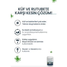 Frefly Store Nem Rutubet Küf Önleyici Boya 1 kg