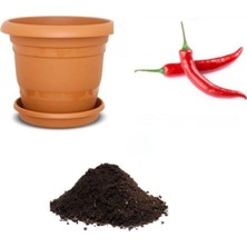 Frefly Store Gardenbox Meşhur Acı Hatay Biberi Tohumu 10 Adet Ekim Seti, Toprak ve Saksı Dahil