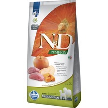 Frefly Store N&d Pumpkin Kuru Köpek Maması, Tahılsız, Yaban Domuzu ve Elmalı, Yetişkin Medium ve Maxi, 12 kg