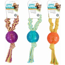 Frefly Store Pawise Tutma Saplı Diş Ipi Köpek Oyuncağı 29 cm