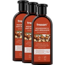 Frefly Store Zencefil Organik 3 Kutu Tresan Argan Yağı Besleyici ve Kırılma Karşıtı Bakım Şampuanı Argan Yağlı Şampuan