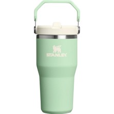 Frefly Store Stanley The Iceflow Yeşil Termos (10-13425-047)