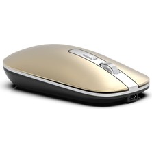 Frefly Store Inca IWM-531RS Bluetooth & Wireless Rechargeable Special Metallic Silent Mouse