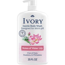 Frefly Store Ivory Nilüfer Kokulu Hafif ve Nazik Vücut Şampuanı 1030ML