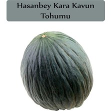 Frefly Store Zencefil Organik Hasanbey Kavun Tohumu 1 Paket (10GR=300+ADET) Kara Kavun
